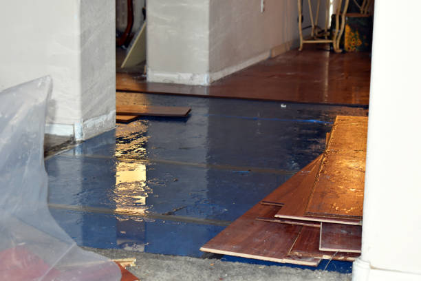 Professional Sewage Cleanup technician working in North Georgetown, OH